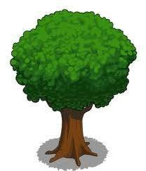 Friends of Wisewood and District