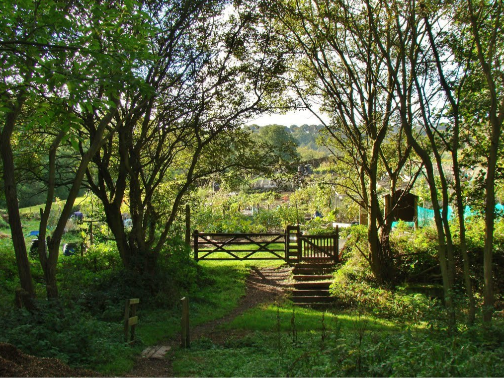 Oughtibridge Allotments